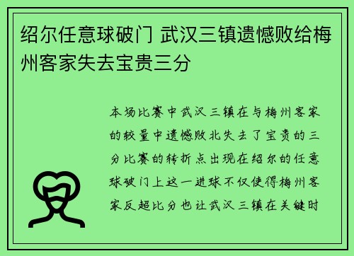 绍尔任意球破门 武汉三镇遗憾败给梅州客家失去宝贵三分