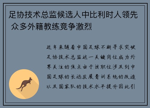足协技术总监候选人中比利时人领先 众多外籍教练竞争激烈